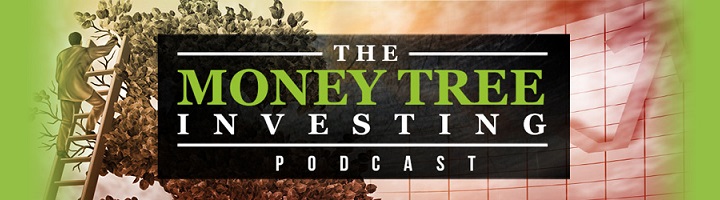 money-tree-podcast-banner